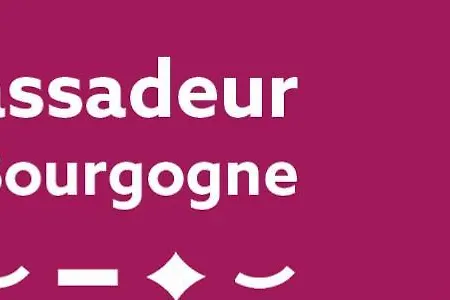 Bel Spacieux , Lumineux, Proche Centre Auditorium Lägenhet *