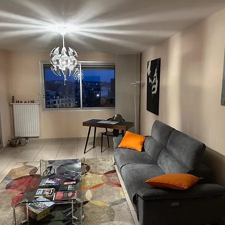 Bel Spacieux , Lumineux, Proche Centre Auditorium * דיז'ון