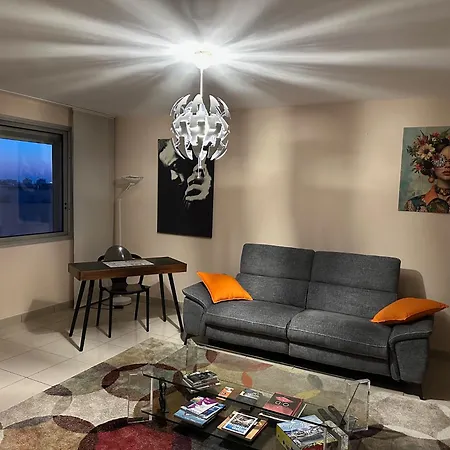 Bel Spacieux , Lumineux, Proche Centre Auditorium