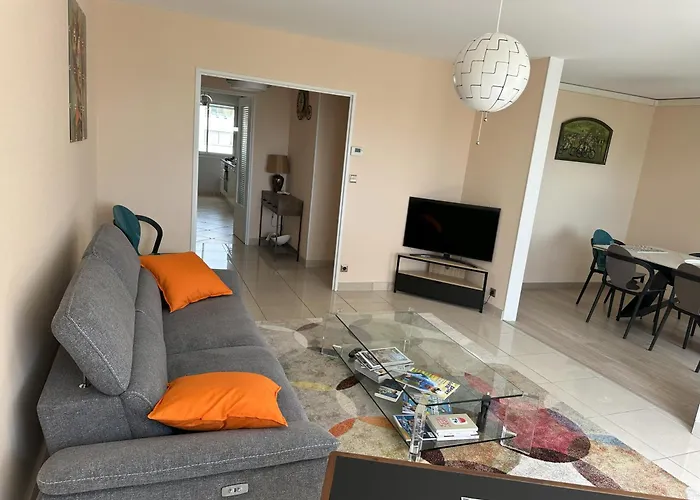 Bel Spacieux , Lumineux, Proche Centre Auditorium