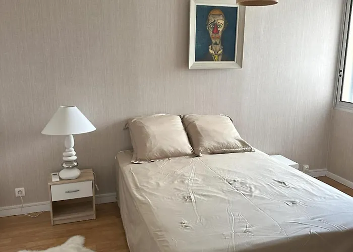 Bel Spacieux , Lumineux, Proche Centre Auditorium *