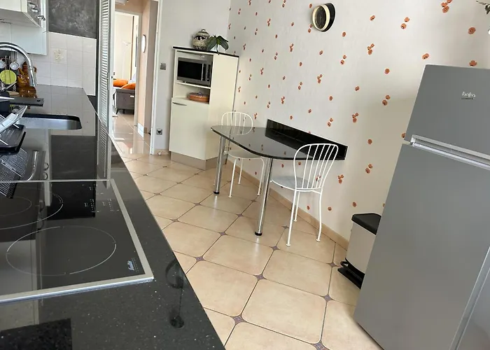 Bel Spacieux , Lumineux, Proche Centre Auditorium *