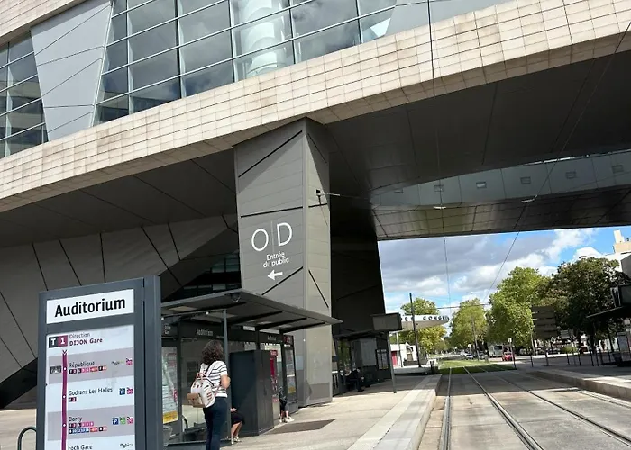 アパート Bel Spacieux , Lumineux, Proche Centre Auditorium ディジョン